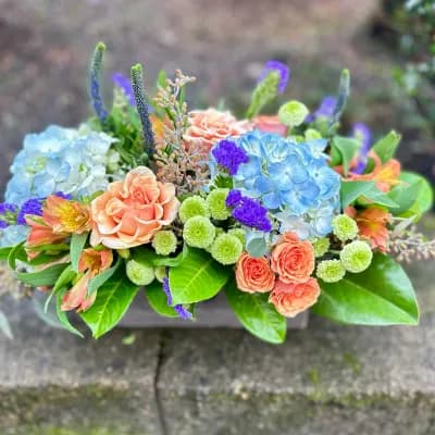 Azure and Peach Bliss - Fresh Flowers Bellevue