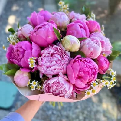 Peony Days of Delight - Fresh Flowers Bellevue