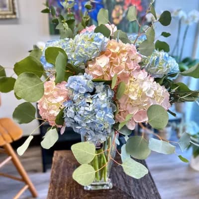Hydrangea (10 stems) - Fresh Flowers Bellevue