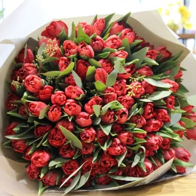 70 red tulips